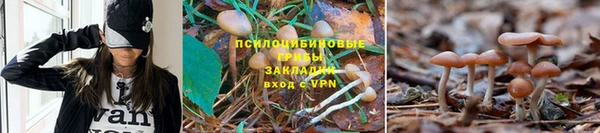 гашишное масло Нефтегорск