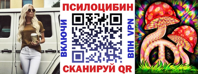 дарнет шоп  Волжский  Галлюциногенные грибы GOLDEN TEACHER 