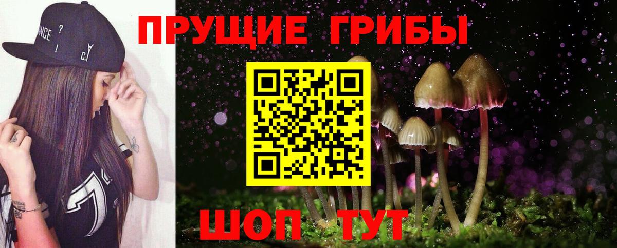 Псилоцибиновые грибы MAGIC MUSHROOMS  Вход с VPN  Волжский  Галлюциногенные грибы Psilocybine cubensis 